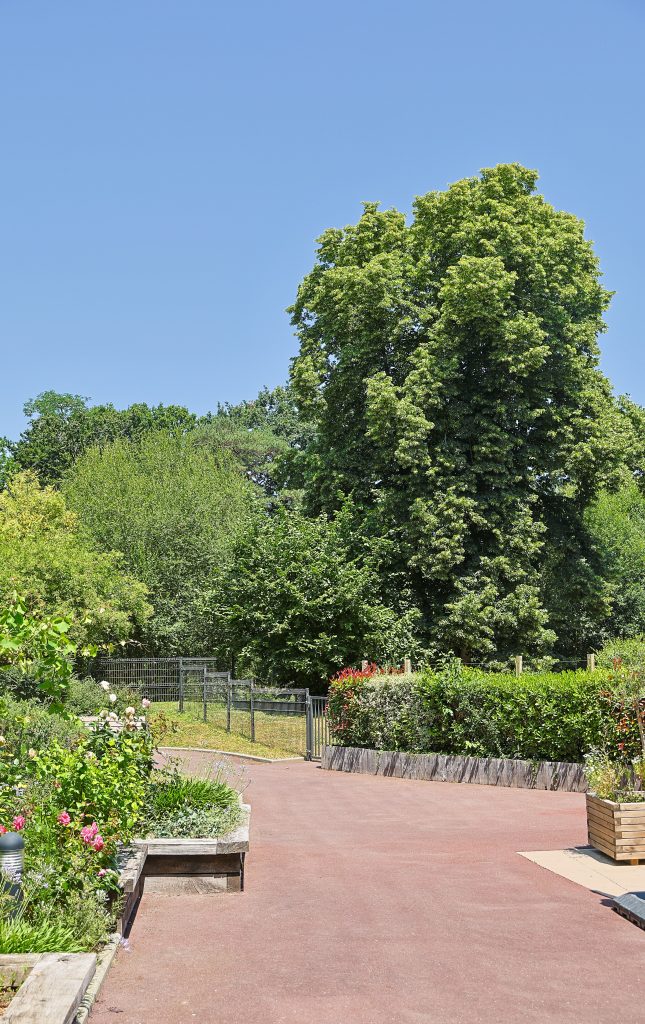 Vue exterieure des jardins d'Hermine