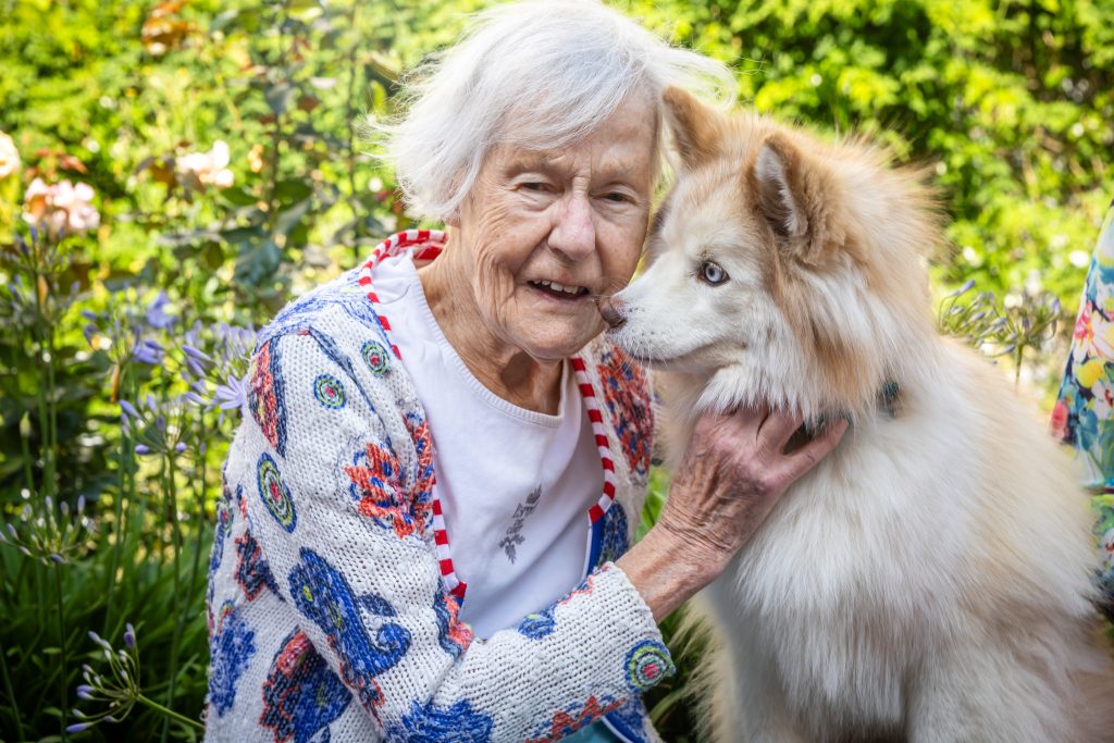 médiation animale avec un chien
